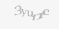 Защитный код